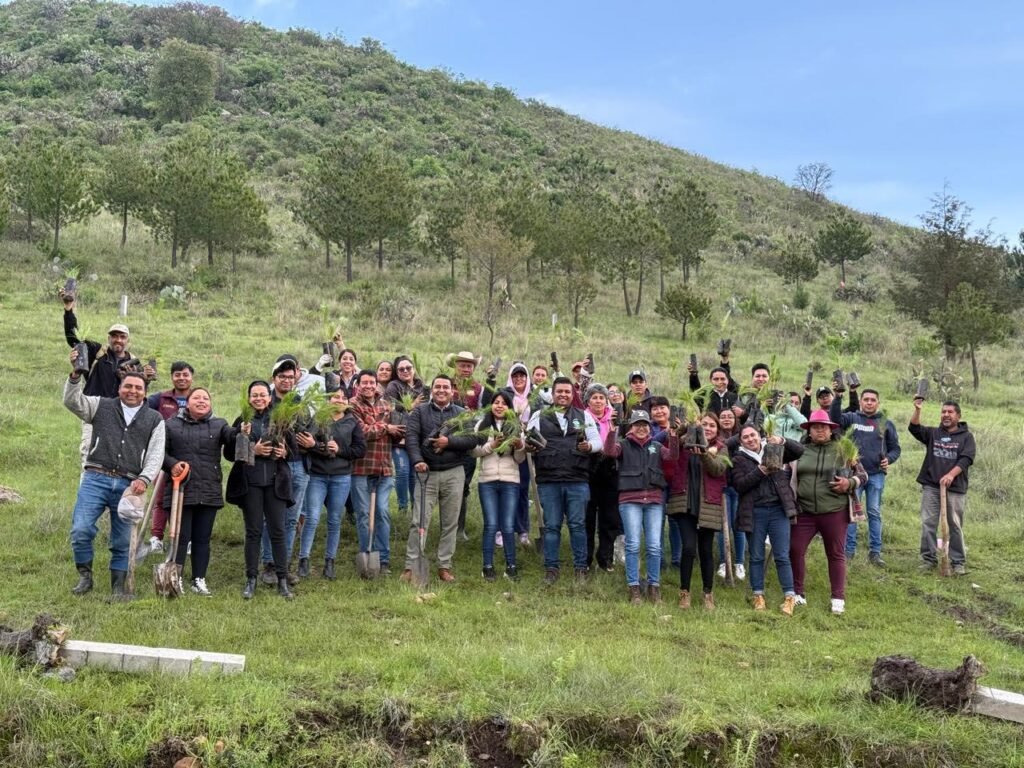 Reforestación